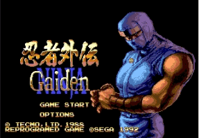 Ninja Gaiden (Beta)